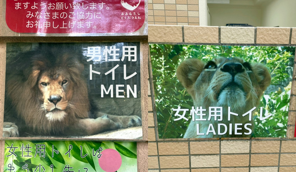 ライオンが百獣の王と言われるのはなぜ No 1021 トイレマークつれづれ